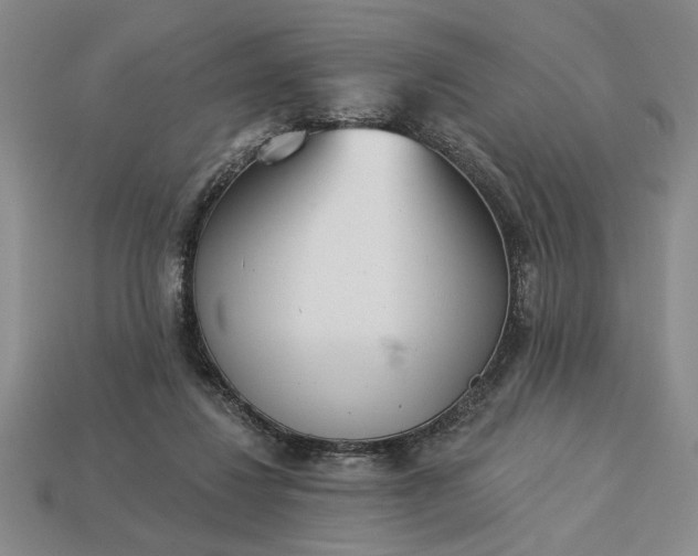 X0000113360260200909291036