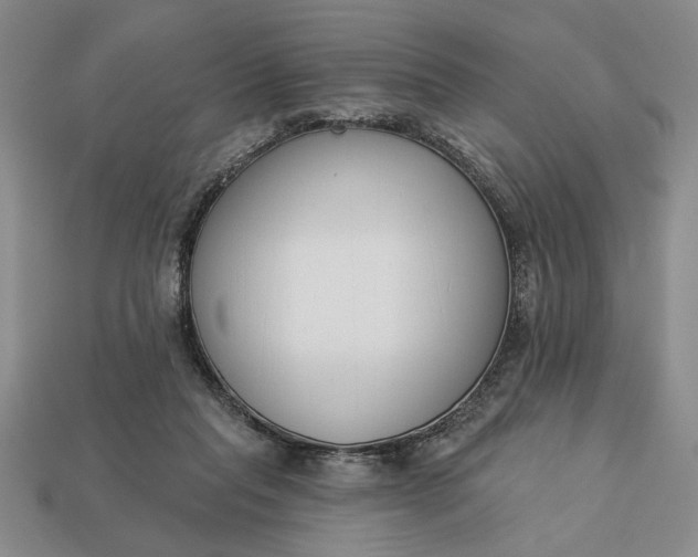 X0000113360261200909291036