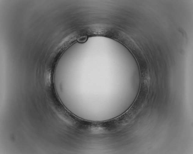 X0000113360262200909291036