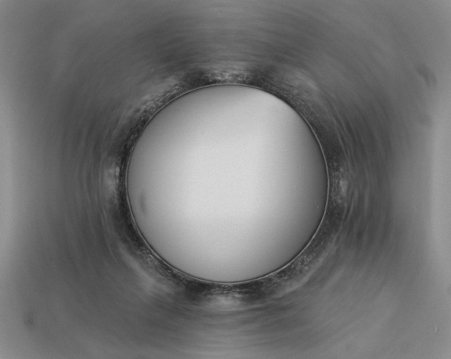 X0000113360263200909291036