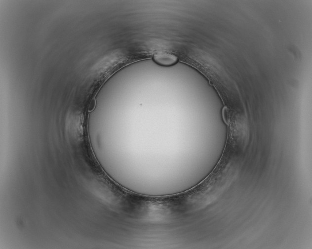 X0000113360264200909291036