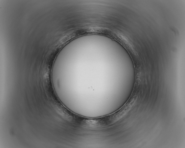 X0000113360265200909291036