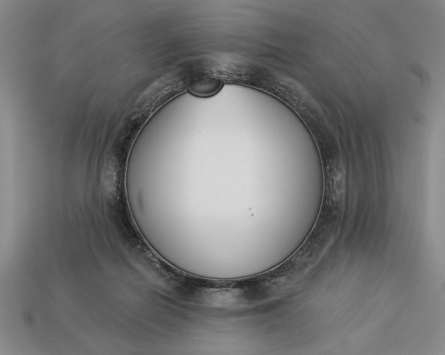 X0000113360266200909291036