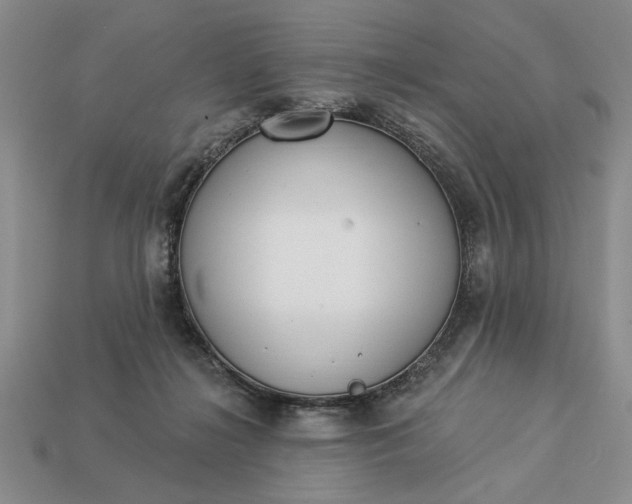 X0000113360268200909291036