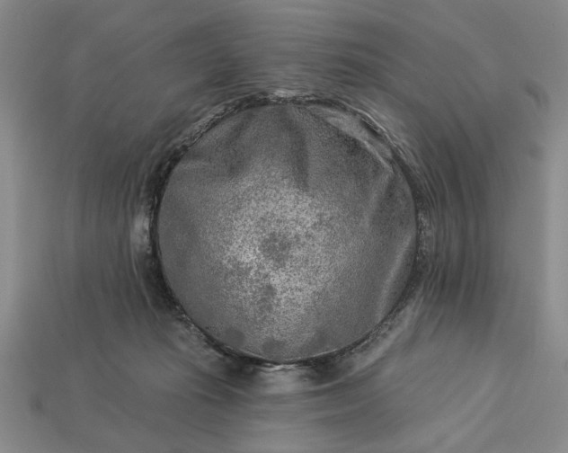 X0000113360269200909291036