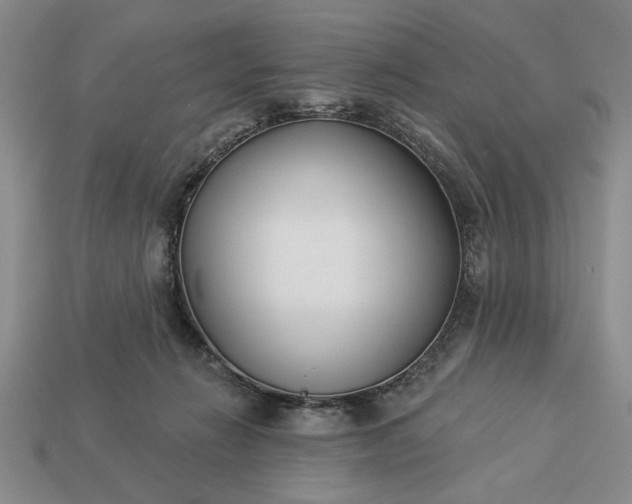 X0000113360270200909291036