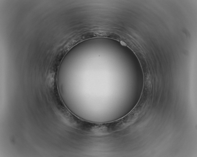 X0000113360271200909291036