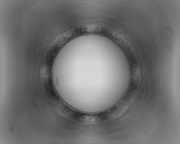 X0000113360272200909291036