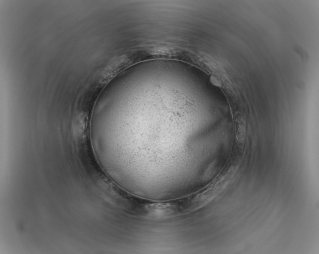 X0000113360273200909291036