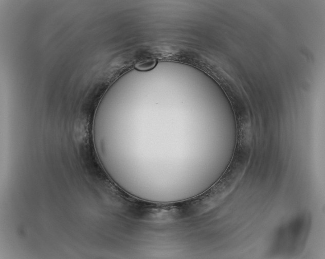 X0000113360274200909291036