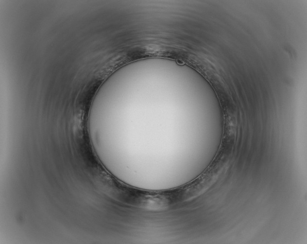 X0000113360275200909291036