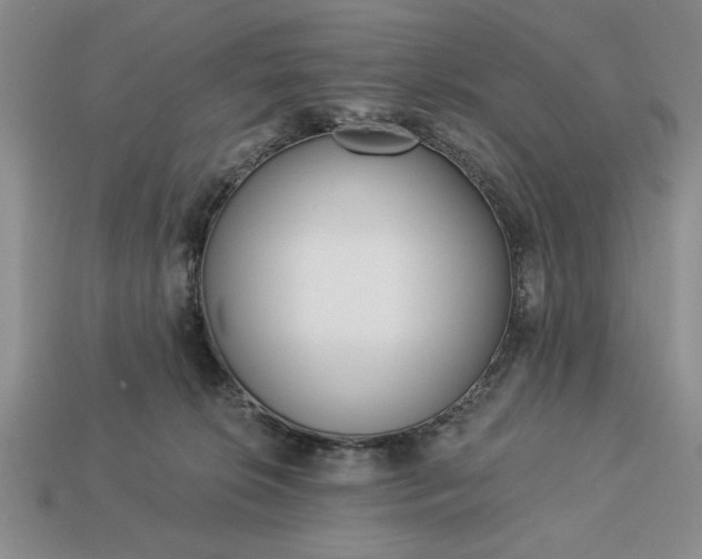 X0000113360276200909291036