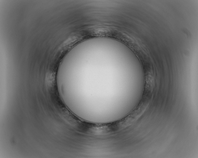 X0000113360278200909291036