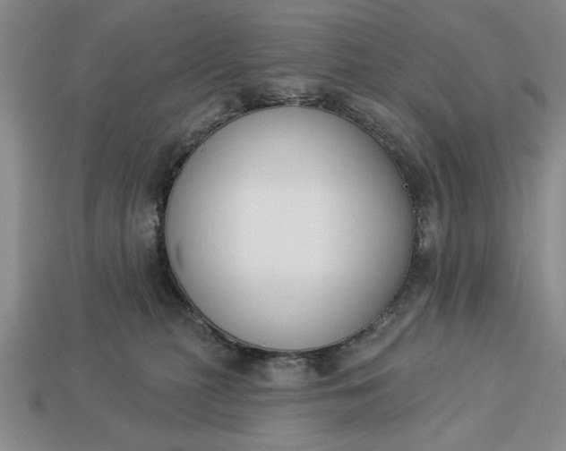 X0000113360279200909291036