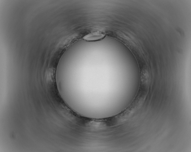 X0000113360280200909291036