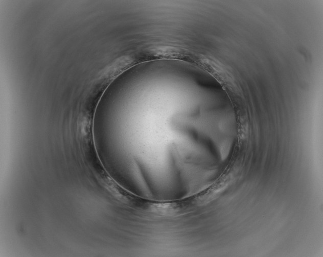 X0000113360281200909291036