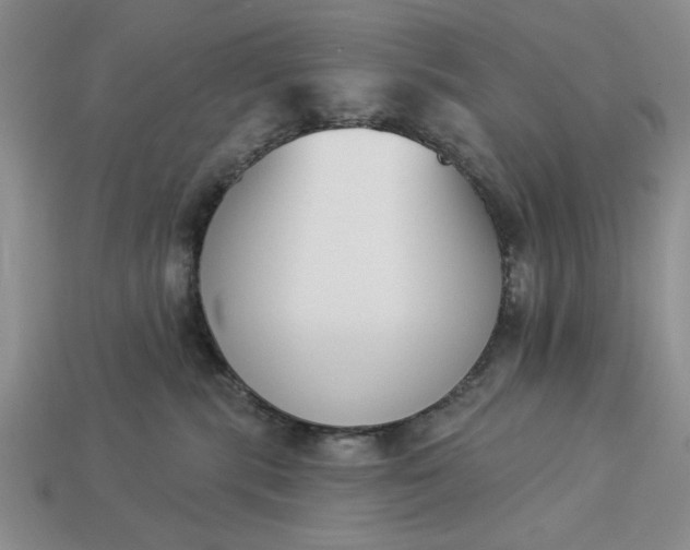 X0000113360283200909291036