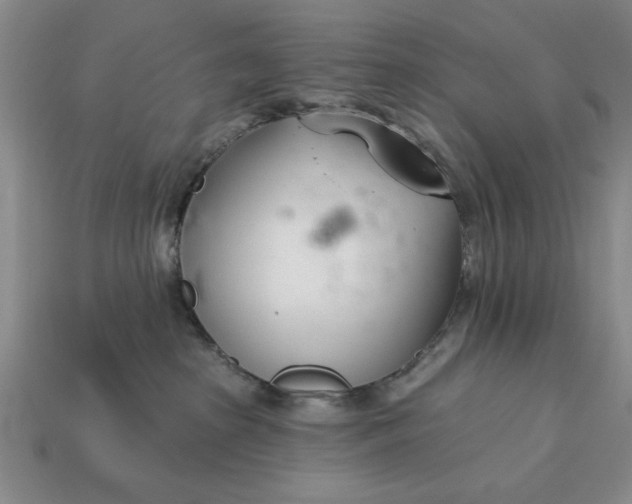 X0000113360285200909291036