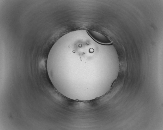 X0000113360286200909291036