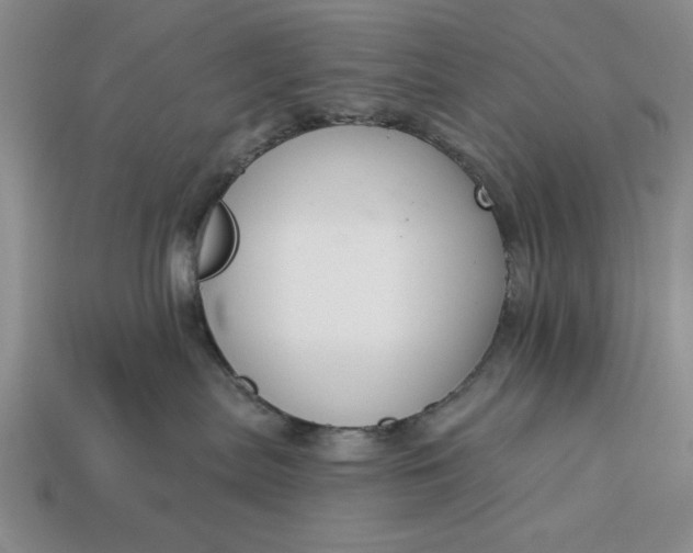 X0000113360287200909291036