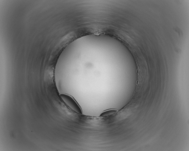 X0000113360288200909291036