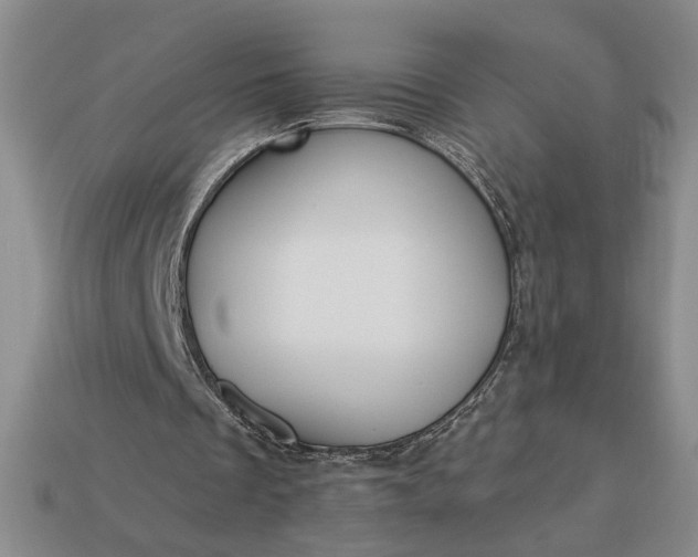 X0000113360289200909291036