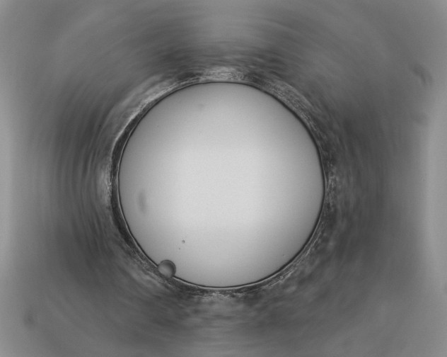 X0000113360290200909291036