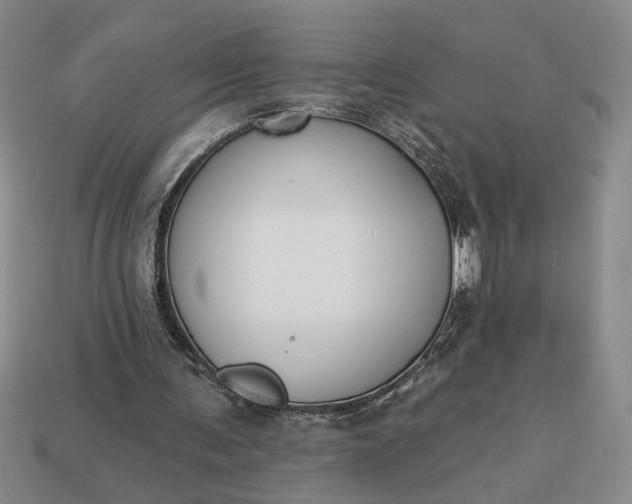 X0000113360291200909291036