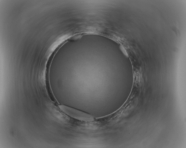 X0000113360292200909291036