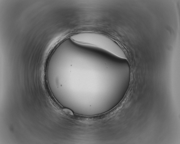 X0000113360293200909291036