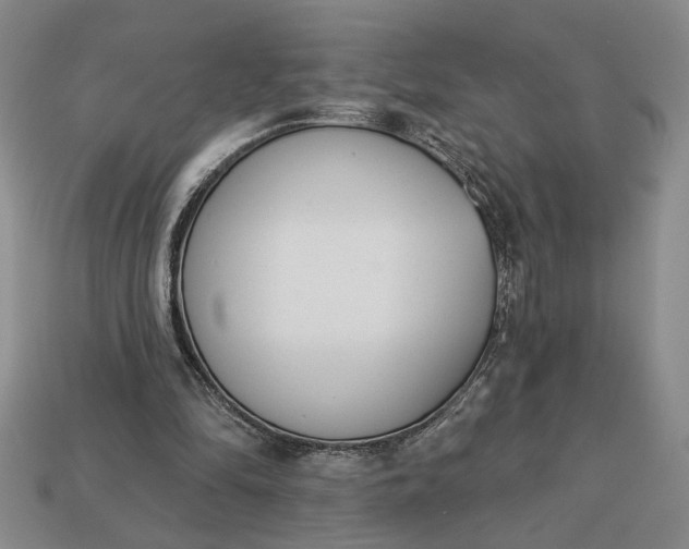 X0000113360294200909291035