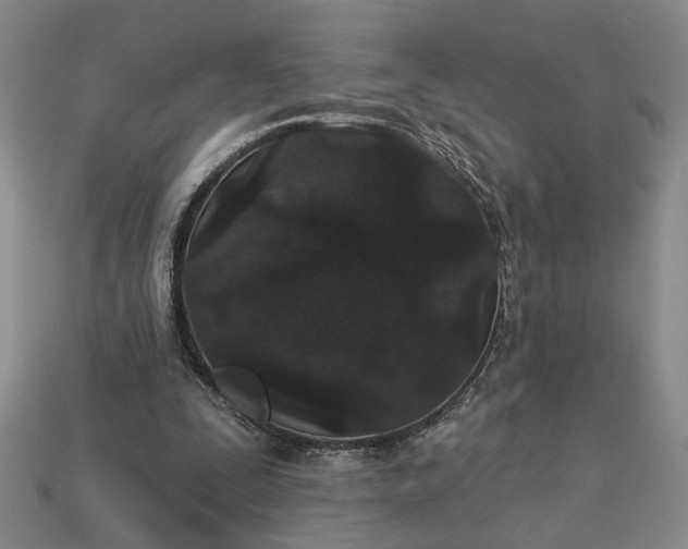 X0000113360295200909291035