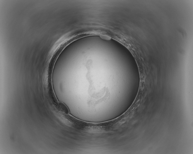 X0000113360296200909291035