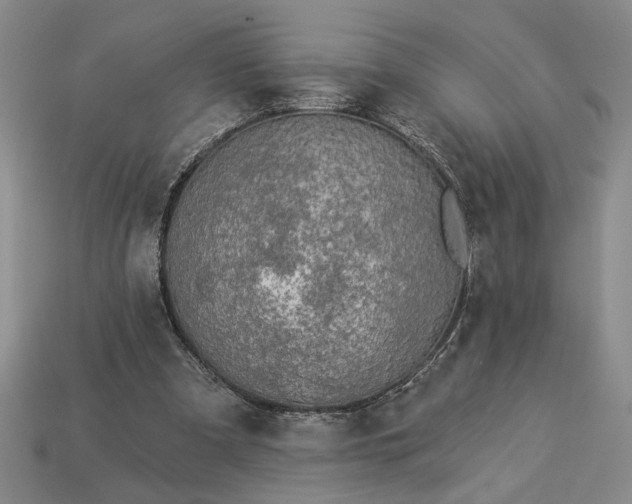 X0000113360297200909291035