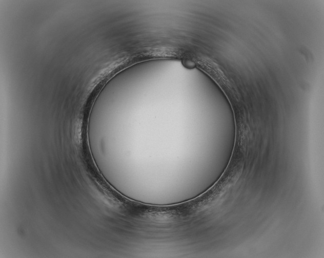 X0000113360299200909291035