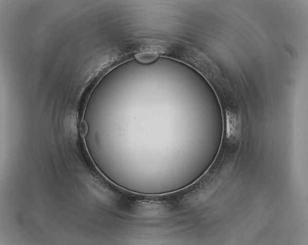 X0000113360300200909291035