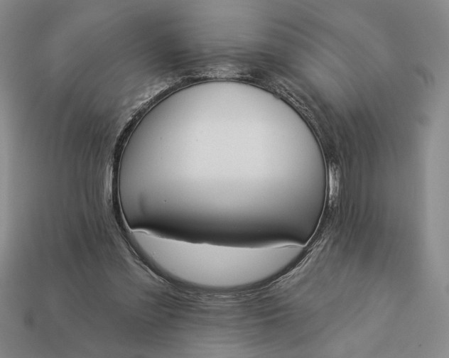 X0000113360301200909291035