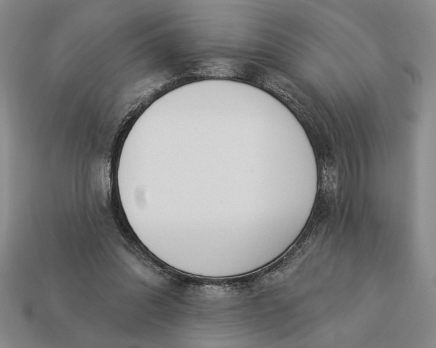 X0000113360302200909291035