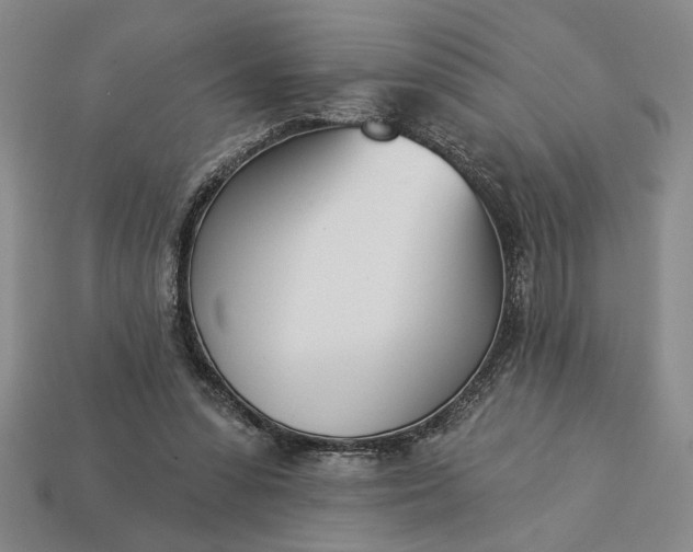 X0000113360303200909291035