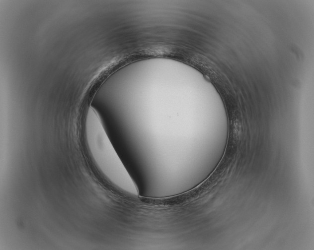 X0000113360304200909291035