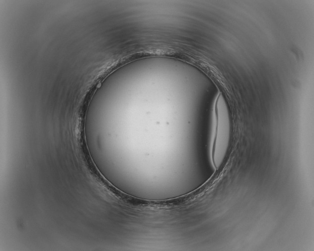 X0000113360305200909291035