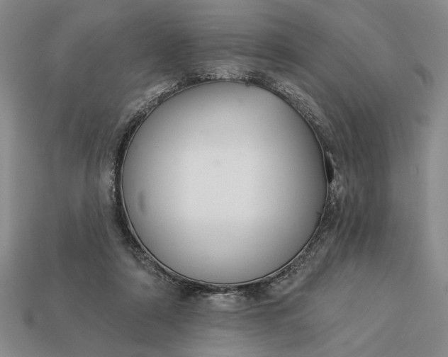 X0000113360306200909291035