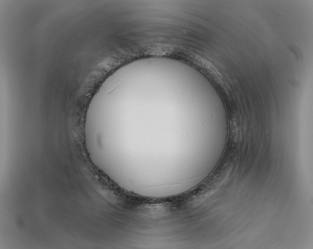 X0000113360307200909291035