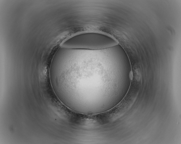 X0000113360308200909291035