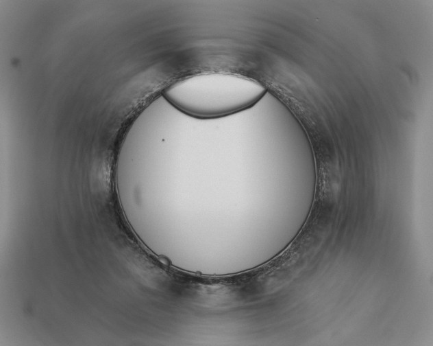 X0000113360309200909291035