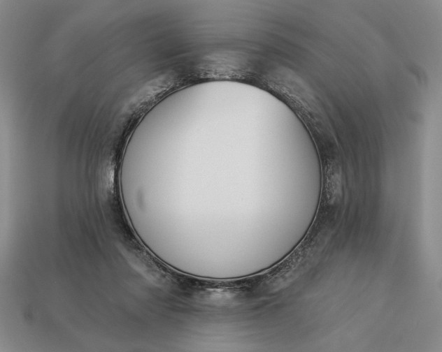 X0000113360310200909291035