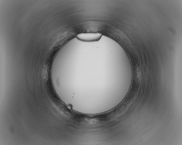 X0000113360311200909291035