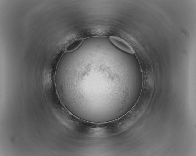 X0000113360312200909291035