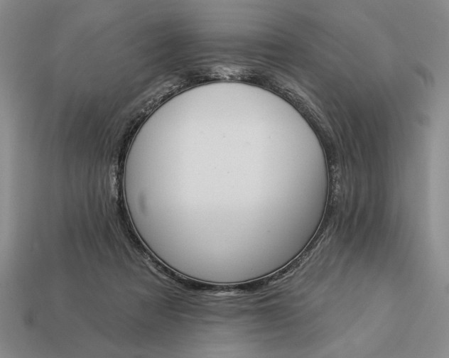 X0000113360313200909291035