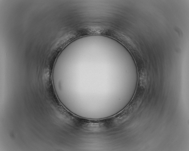 X0000113360314200909291035